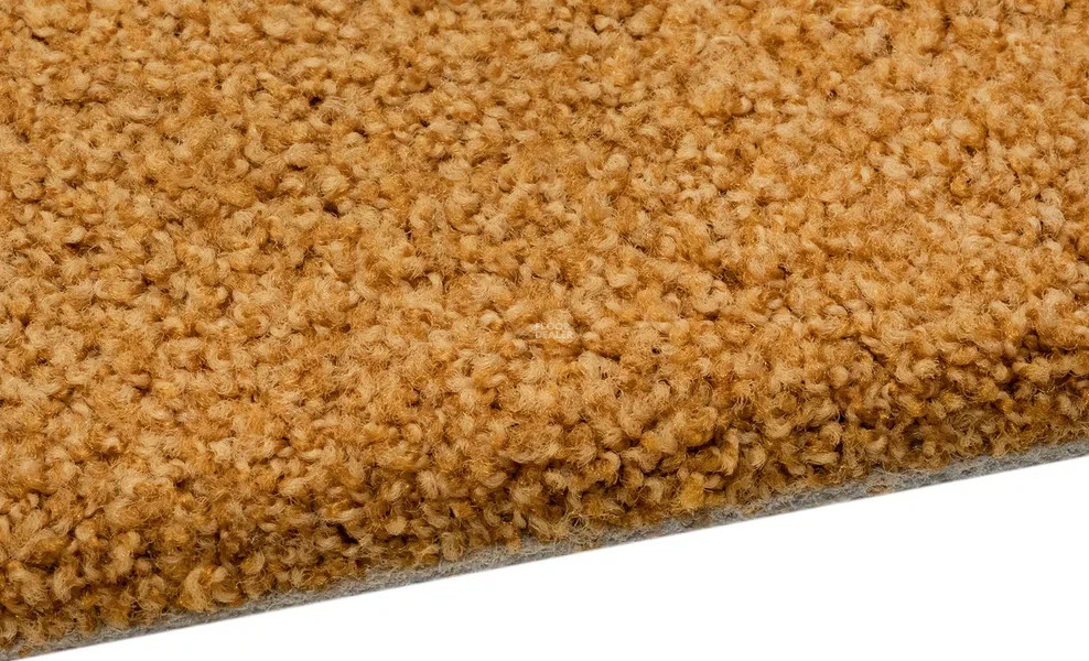 Vorwerk Exclusive1009/Elara 2d91 фото 4 | FLOORDEALER